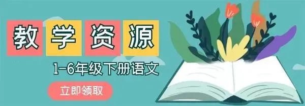 为什么篮球传奇的训练和发展理念值得借鉴_2